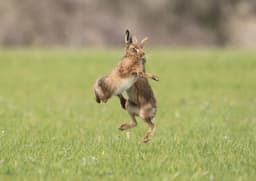 DORSET FOOD & DRINK C.I.C.