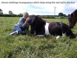 EQUINE REWILDING CIC