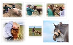 EAQ LUCCOMBE COMMUNITY INTEREST COMPANY