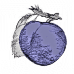 WILD PLUM ARTS CIC