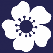 HAMPSHIRE COMMUNITY RAIL PARTNERSHIP CIC