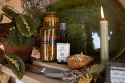 AHIMSA PLANT HEALING COMMUNITY INTEREST COMPANY