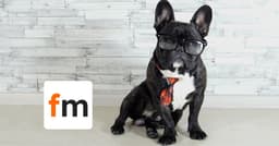 FAIRLY MARVELLOUS C.I.C.