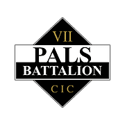 PALS BATTALION CIC