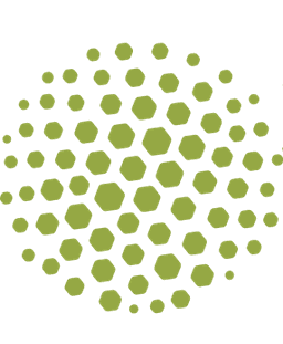 LEARNING AND SKILLS ACADEMY CIC