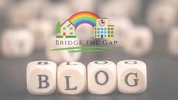BRIDGE THE GAP CHILD MENTAL HEALTH C.I.C.