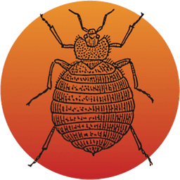 BED BUG FOUNDATION CIC