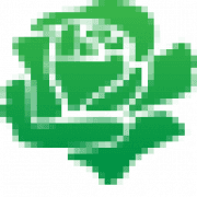 GREEN ROSE SUSTAINABILITY COMMUNITY INTEREST COMPANY