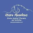 HOPE MEADOWS EQUINE ASSISTED RECOVERY CIC