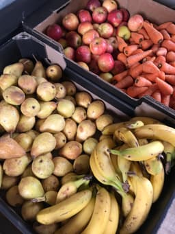 FOREST ROW COMMUNITY FRIDGE CIC