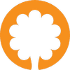 ORANGEYOGA STUDIO CIC