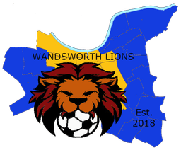 WANDSWORTH LIONS FC COMMUNITY INTEREST COMPANY