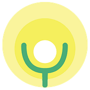 YELLOW BEACON CIC