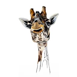 ARTFUL COLLECTIVE CIC