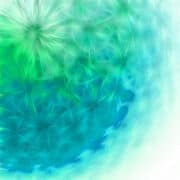 DANDELION WEATHERSTONE C.I.C.