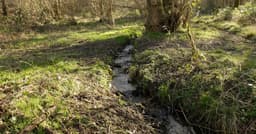 GREYFIELD WOOD COMMUNITY INTEREST COMPANY