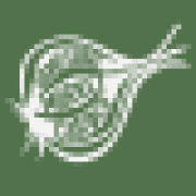 HAMPSHIRE MARKET GARDEN CIC