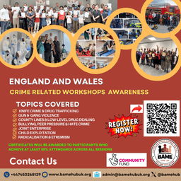 BAME HUB - UK NETWORK C.I.C.