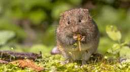 BEGIN BY STARTING CIC