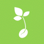 BOLGHEN TREE NURSERY CIC