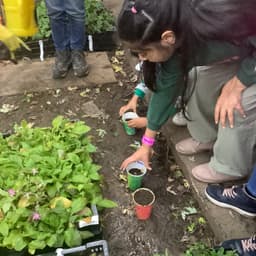 URBAN TRAILBLAZER COMMUNITY INTEREST COMPANY