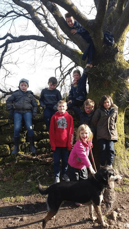 FOREST SCHOOL FARMING CIC