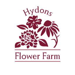 HYDONS FLOWERS COMMUNITY INTEREST COMPANY