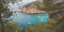 DIVE PROJECT CORNWALL CIC