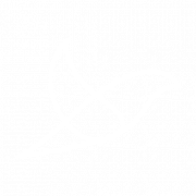 THE LARK NETWORK CIC