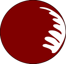 MAROON SOLIS CIC
