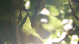 COUNSELLING CARERS C.I.C.