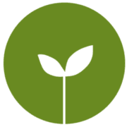 COURT PLACE FARM ALLOTMENTS COMMUNITY INTEREST COMPANY