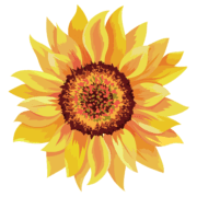 THRIVING COMMUNITIES CIC