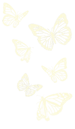 CHRYSALIS DYSPRAXIA AWARENESS C.I.C.