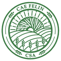 CAE FELIN CSA CIC
