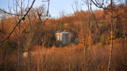 LAMMAS EARTH CENTRE CIC