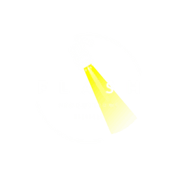 FLASH THEATRE PRODUCTIONS CIC