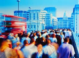 CARBON CHAMPIONS CIC