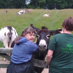 APPLE BLOSSOM SOCIAL ENTERPRISE CIC