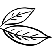 BAY LEARNING ACADEMY CIC