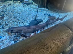 MARINE DISCOVERY CENTRE WHITBY CIC