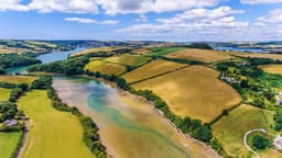 WILD ABOUT KINGSBRIDGE CIC