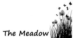 MEADOW LEARNING CIC