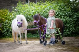 INSPIRING ANIMAL THERAPY CIC