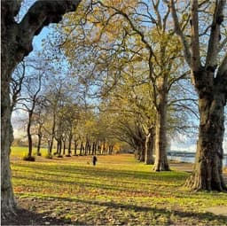 CLIMATE BIODIVERSITY COACHING COMMUNITY INTEREST COMPANY