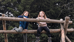 ALDER TREE (HOME EDUCATION CENTRE) CIC