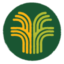 FFYNNONE COMMUNITY RESILIENCE C.I.C.