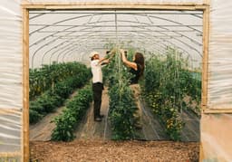 FRENSHAM MARKET FARM CIC