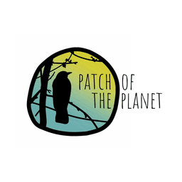 PATCH OF THE PLANET CIC
