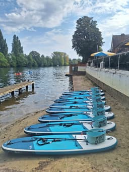 DITTONS PADDLE BOARDING CIC